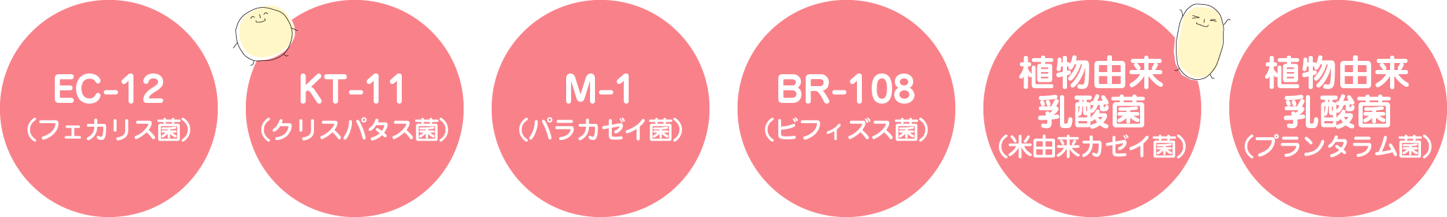 EC-12(フェカリス菌)・KT-11(クリスパタス菌)・M-1(パラカゼイ菌)・BR-108(ビフィズス菌)・植物由来乳酸菌(米由来カゼイ菌)・植物由来乳酸菌(プランタラム菌)