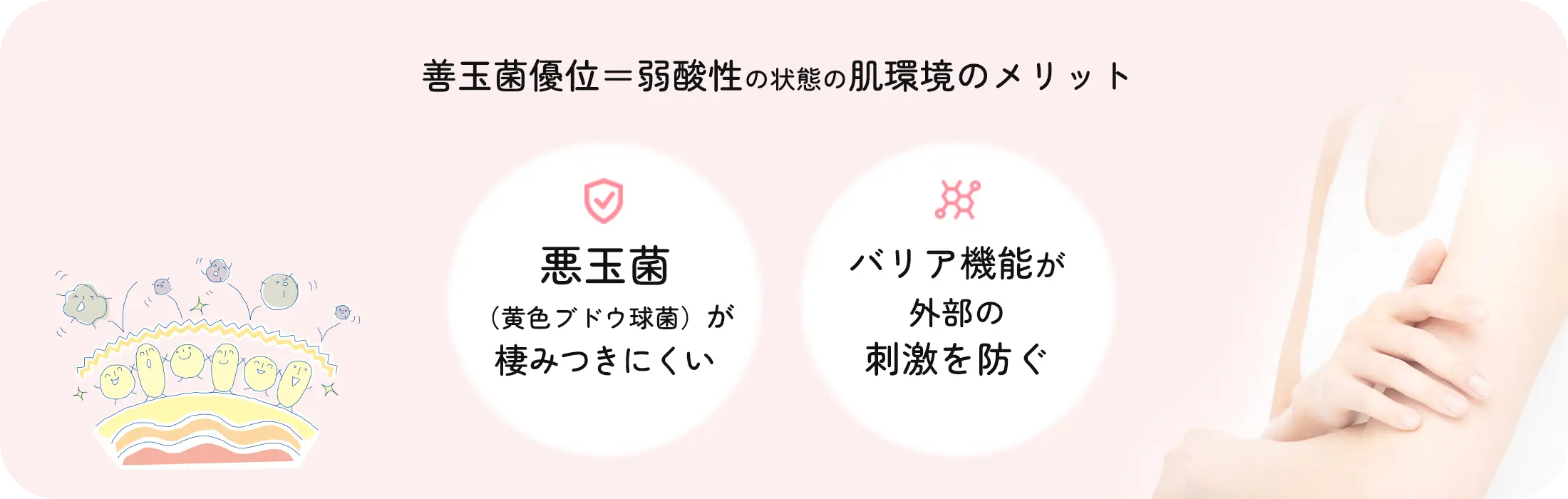 善玉菌優位＝弱酸性の状態の肌環境のメリット 悪玉菌（黄色ブドウ球菌）が棲みつきにくい バリア機能が外部の刺激を防ぐ