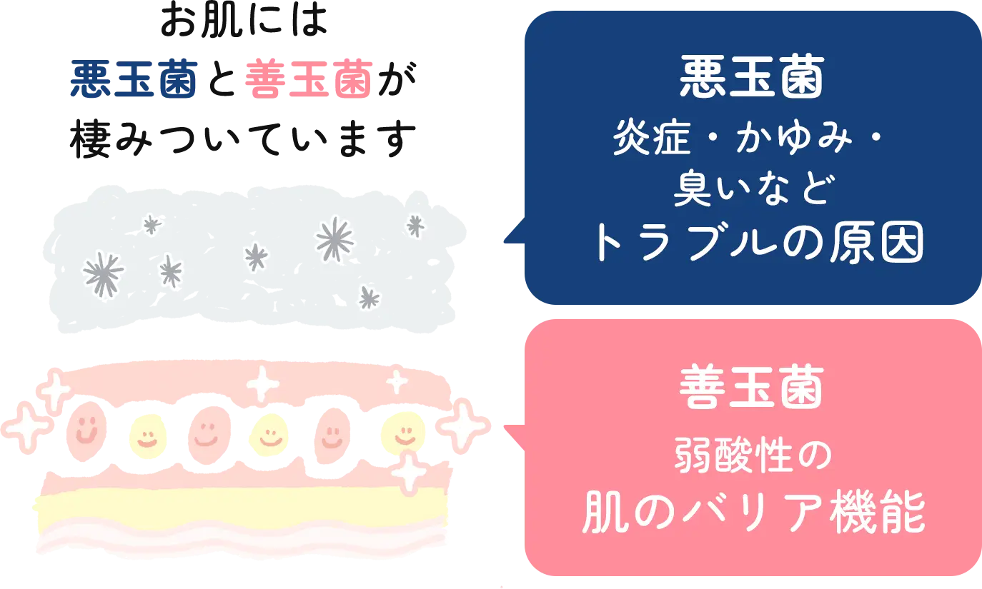 お肌には悪玉菌と善玉菌が棲みついています 悪玉菌:炎症・かゆみ・臭いなどトラブルの原因 善玉菌:弱酸性の肌のバリア機能