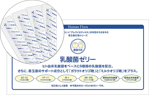 乳酸菌ゼリー