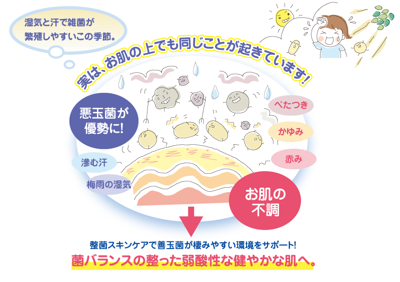 イラスト