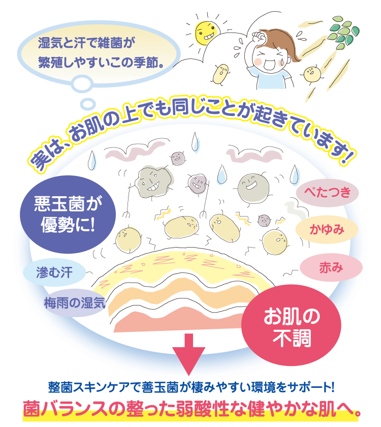 イラスト