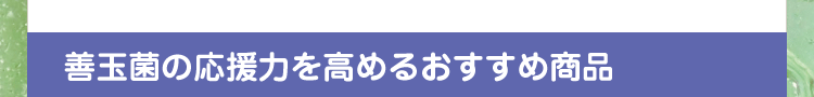善玉菌の応援力を高めるおすすめ商品