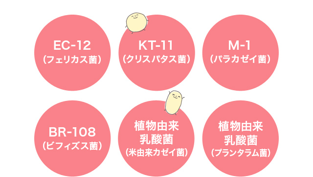 EC-12(フェリカス菌)・KT-11(クリスパタス菌)・M-1(パラカゼイ菌)・BR-108(ビフィズス菌)・植物由来乳酸菌(米由来カゼイ菌)・植物由来乳酸菌(プランタラム菌)