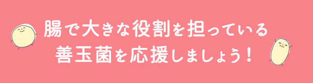 腸で大きな役割を担っている善玉菌を応援しましょう！