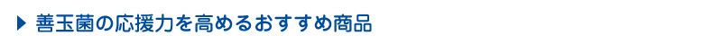 善玉菌の応援力を高めるおすすめ商品